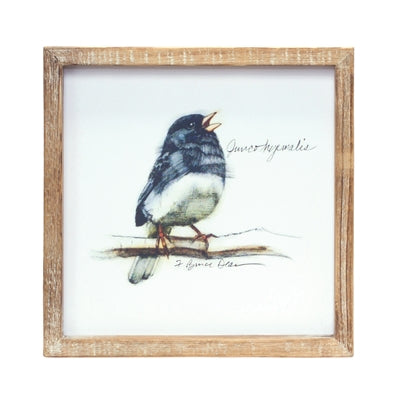 Framed Bird Prints - Set of (4)