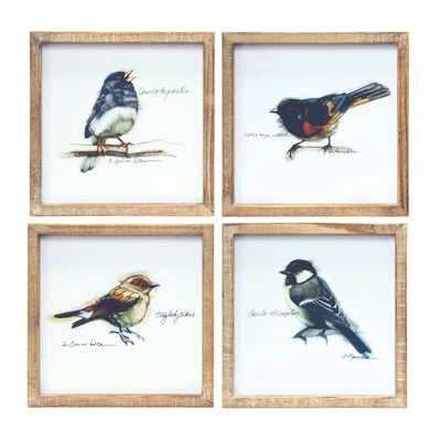 Framed Bird Prints - Set of (4)