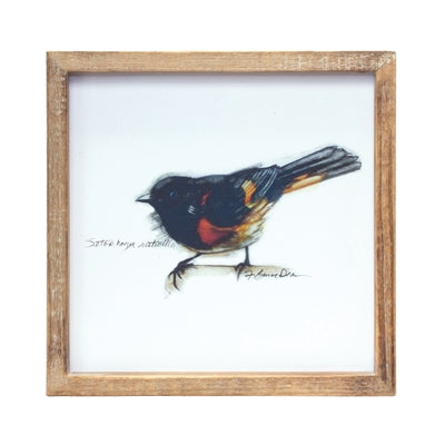 Framed Bird Prints - Set of (4)