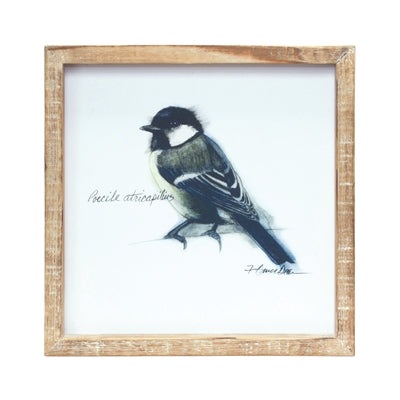 Framed Bird Prints - Set of (4)